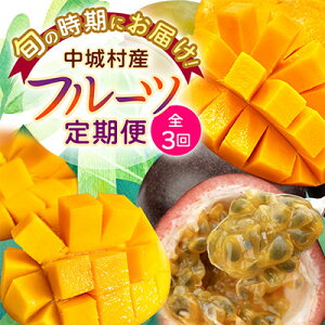 yӂ邳Ɣ[ŁzyŒցz2026N JAȂ킪I썑t[c֑S3yzsnFzy4077025z