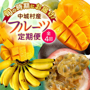 �y�ӂ邳�Ɣ[�Łz�y�������Œ����ցzJA�����Ȃ팵�I!�G�߂̓썑�t���[�c�S4��_�p�b�V�����t���[�c �A�b�v���}���S�[ �A�[�E�B���}���S�[ �L�[�c�}���S�[ �A�b�v���o�i�i ���� ������ �M