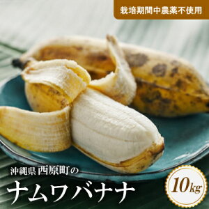 �y�ӂ邳�Ɣ[�Łz�������͔̍|���Ԓ��_��s�g�p�̃i�����o�i�i2kg�`10kg/3������3kg�yG1616143�z