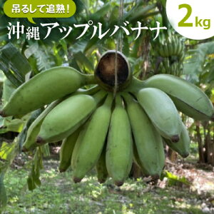 yӂ邳Ɣ[Łz݂邵ĒǏn!鉫Abvoii2kgy1640917z