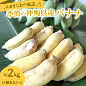 【ふるさと納税】JAおきなわが厳選!季節の沖縄県産バナナ約2kg(旬の品種おまかせ)【1694030】