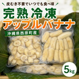 【ふるさと納税】【皮むき不要】いつでも食べ頃!完熟冷凍アップルバナナ5kg【配送不可地域：離島】【1742592】