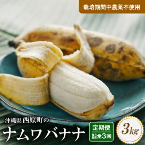 yӂ邳Ɣ[Łz͔̍|Ԓ_sgp̃ioii2kg`10kg/33kgyG1616143z