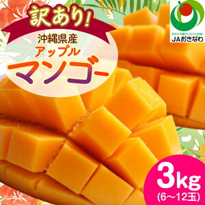 yӂ邳Ɣ[Łzy2026N6珇E󂠂zAbv}S[3.0kg(6`12)_ }S[ t[c ʕ  Abv}S[ lC   󂠂 ʌ Ԍ 