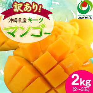 yӂ邳Ɣ[Łzy2026N8珇E󂠂zJAȂ팵I!ꌧYL[c}S[2kg(2`3)_ }S[ t[c ʕ  L[c}S[ lC   󂠂  