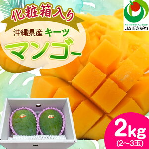 yӂ邳Ɣ[Łzy2026N8珇EϔzJAȂ팵I!ꌧYL[c}S[2kg(2`3)_ }S[ t[c ʕ  L[c}S[ lC    Mt