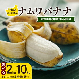 楽天ふるさと納税の返礼品