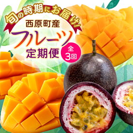 【ふるさと納税】【発送月固定定期便】沖縄の豊かな自然で育ったフルーツ定期便全3回_ 定期便 フルーツ 果物 ふるーつ 沖縄 パッションフルーツ アーウィンマンゴー キーツマンゴー 贈答 ギフト 人気 おすすめ 【配送不可地域：離島】【4058900】