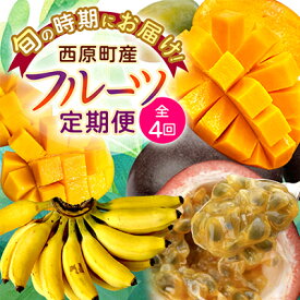 【ふるさと納税】【発送月固定定期便】JAおきなわ厳選!季節の南国フルーツ 西原町の旬の味覚をお届け全4回【配送不可地域：離島】【4080888】