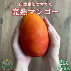 【ふるさと納税】【2026年6月から順次発送】田場農園の栽培期間中農薬不使用マンゴー2kg(5～6玉)【配送不可地域：離島】【1386744】