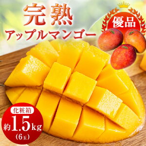 yӂ邳Ɣ[Łzy2026N6{珇EDiznAbv}S[1.5kg(6)yzsnFzy1466101z