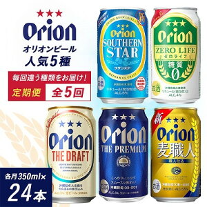 【ふるさと納税】【毎月定期便】沖縄の人気ビールを味わう!定番5種のお届けセット全5回【4074842】