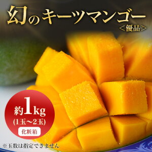 yӂ邳Ɣ[Łzy2026N8珇EpzJAȂ팵I!̃L[c}S[1kg(1`2)yzsnFzy1390923z