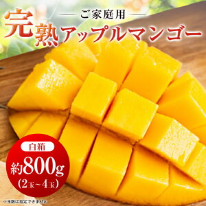 yӂ邳Ɣ[Łzy2026N6{珇E󂠂znAbv}S[800g(2ʁ`4)yzsnFzy1439150z