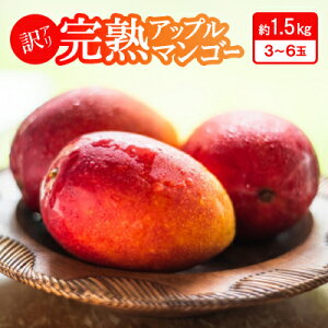 yӂ邳Ɣ[Łzy2026N6{珇E󂠂znAbv}S[1.5kg(3ʁ`6)yzsnFzy1546407z
