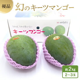 【ふるさと納税】【2026年8月中旬から順次発送・贈答用】幻のキーツマンゴー約2kg(2玉～3玉)【配送不可地域：離島】【1546414】