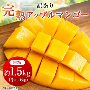 yӂ邳Ɣ[Łzy2026N6{珇E󂠂znAbv}S[1.5kg(3ʁ`6)_ }S[ ꌧ  t[c ʕ  lC yzsnFzy1390899z