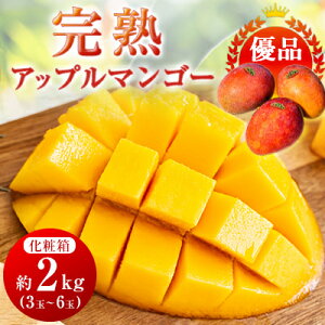 yӂ邳Ɣ[Łzy2026N6{珇EDiznAbv}S[2kg(3ʁ`6)yzsnFzy1390905z