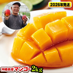 yӂ邳Ɣ[Łzy2026NzZȊÂIƂ낯HIꌧY}S[2kg