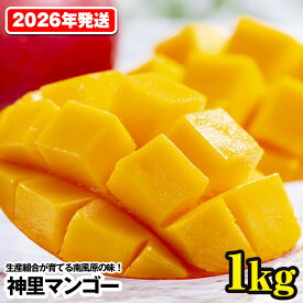 【ふるさと納税】【2026年発送】生産組合が育てる南風原の味　神里マンゴー1kg