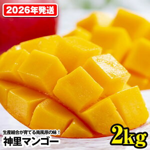 yӂ邳Ɣ[Łzy2026NzYgĂ앗̖@_}S[2kg