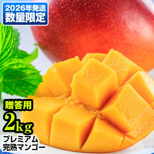 yӂ邳Ɣ[Łzy2026NzʌIv~An}S[2kg@p