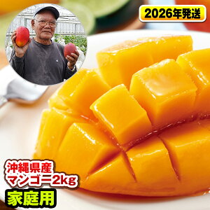 yӂ邳Ɣ[Łzy2026NzZȊẨꌧY}S[2kgiƒpj