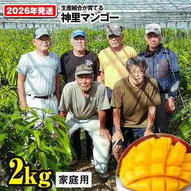 【ふるさと納税】【2026年発送】生産組合が育てる神里のマンゴー2kg　家庭用