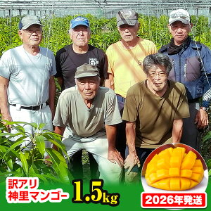【ふるさと納税】【訳あり】2026年発送 生産組合から直送 神里マンゴー1.5kg