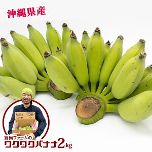 yӂ邳Ɣ[ŁzyꌧYzt@[̃NNoii@2kg