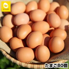 卵の黄身が掴めるほどの新鮮さ　美ら卵養鶏場の卵【80個入り】
