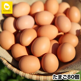【ふるさと納税】卵の黄身が掴めるほどの新鮮さ　美ら卵養鶏場の卵【80個入り】