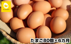 【ふるさと納税】【定期便】6ヵ月連続お届け　卵の黄身が掴めるほどの新鮮さ　美ら卵養鶏場の卵　各月80個