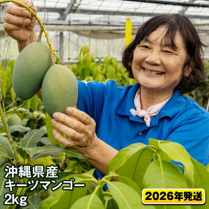 【ふるさと納税】【2026年発送】沖縄県産キーツマンゴー2kg