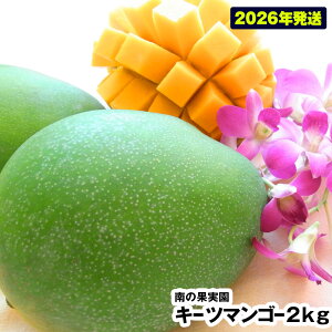 yӂ邳Ɣ[Łzy2026Nz̉ʎ@L[c}S[2kg