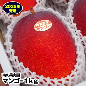 yӂ邳Ɣ[Łzy2026Nz̉ʎ@}S[1kg