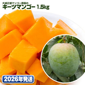 yӂ邳Ɣ[Łzy2026Nz鐳Y}S[_̃L[c}S[1.5kg