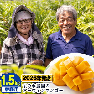 yӂ邳Ɣ[Łzy2026Nz݂_̃A[EB}S[ƒp1.5kg