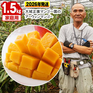 yӂ邳Ɣ[Łzy2026Nz鐳A}S[̃A[EB}S[iƒpj1.5kg