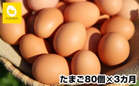 【ふるさと納税】【定期便】3ヵ月連続お届け　卵の黄身が掴めるほどの新鮮さ　美ら卵養鶏場の卵　各月80個