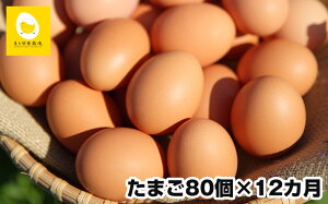 yӂ邳Ɣ[Łzyցz12A͂@̉g͂߂قǂ̐VN@痑{{̗@e80