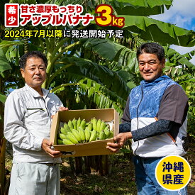 【ふるさと納税】【希少】甘さ濃厚もっちりアップルバナナ3kg
