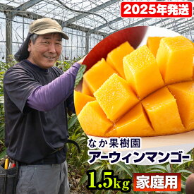 【ふるさと納税】【2024年発送】なか果樹園　家庭用　アーウィンマンゴー1.5kg