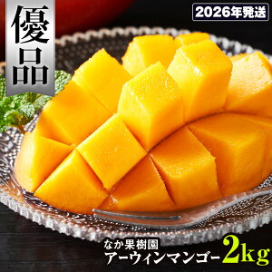 yӂ邳Ɣ[Łzy2026NzȂʎ@Di@A[EB}S[2kg