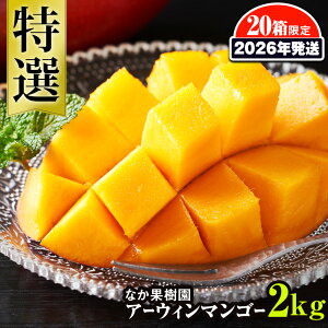yӂ邳Ɣ[Łzy2026NzȂʎ@I@A[EB}S[2kg@20