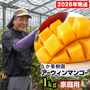 yӂ邳Ɣ[Łzy2026NzȂʎ@ƒp@A[EB}S[1kg