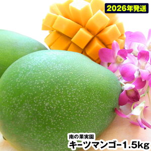 yӂ邳Ɣ[Łzy2026Nz̉ʎ@L[c}S[1.5kg