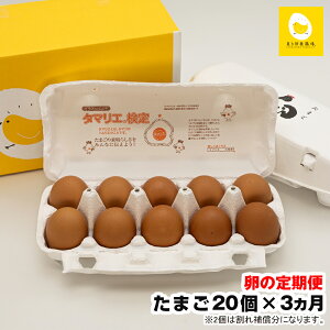yӂ邳Ɣ[Łzyցz3A͂@痑{{̗@e20