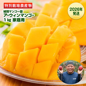 yӂ邳Ɣ[Łzy2026Nzԃ}S[@ƒp@A[EB}S[1kg@ʍ͔|_Y