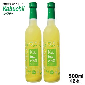 【ふるさと納税】【琉球泡盛】瑞泉酒造　カーブチー　500ml×2本　10%　柑橘系泡盛リキュール